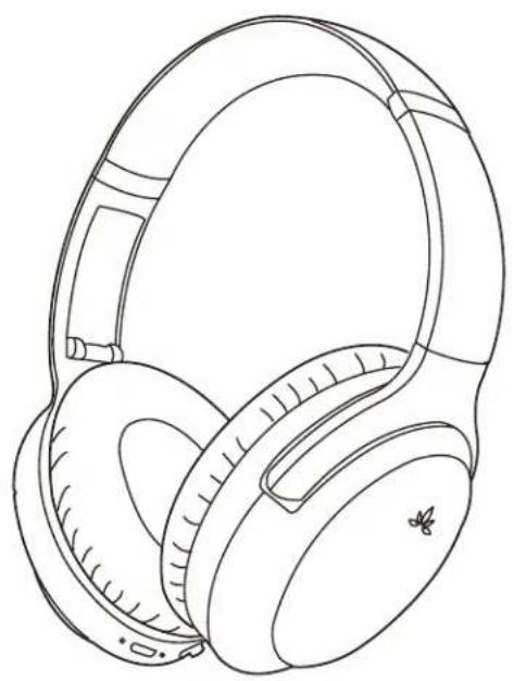 Avantree Aria Pro - Collegare ad un dispositivo Bluetooth - 1