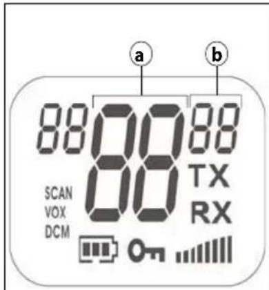 Esscom TwinTalker 9200 - Informatie LCD-display - 1
