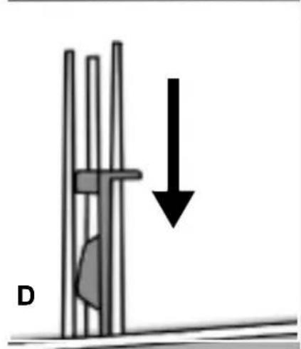 MIO STAR MWM 5512 - Comment positionner le séparateur dans le compartiment de lavage principal pour le détergent en poudre ou liquide - 3