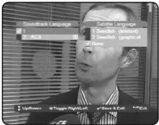 Inverto IDL5550S - AUDIO AND SUBTITLES LANGUAGE - 1