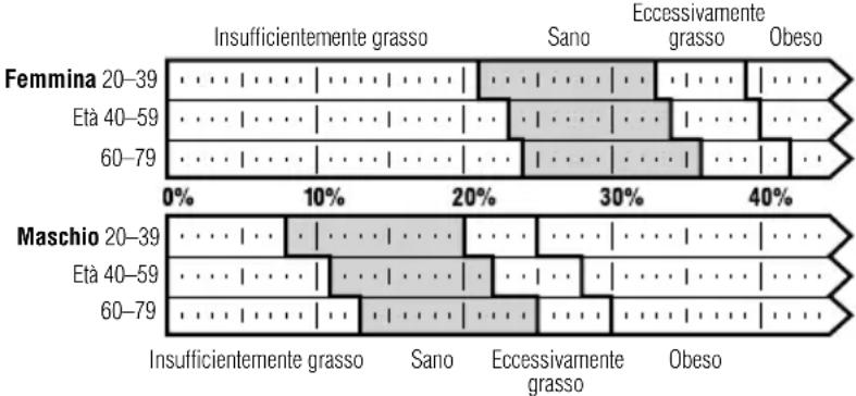 TANITA UM041 - Cos'è la percentuale di grasso corporeo? - 1