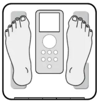 TANITA InnerScan BC350 - como Obtener lecturesas exactas - 1