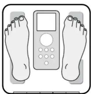 TANITA InnerScan BC350 - Obtendo leitura precise - 1