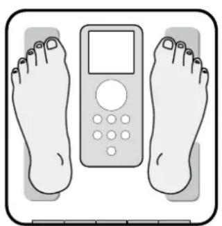 TANITA InnerScan BC350 - Comment obtenir des résultats exacts - 1