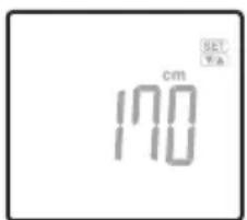 TANITA BC313 - Specificare I'Altezza - 2