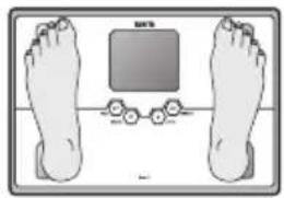 TANITA BC313 - Step onto the scale - 1