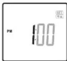 TANITA BC313 - Set Minute - 1