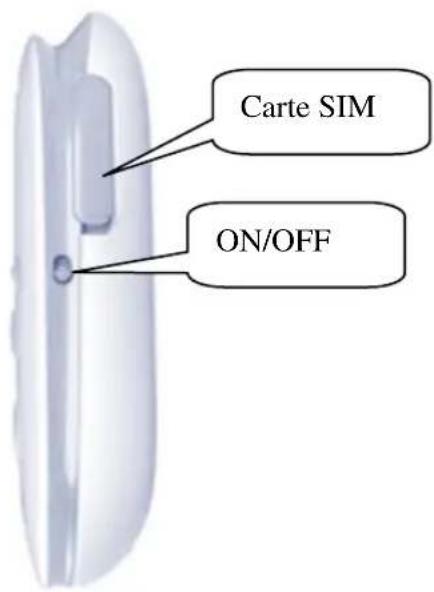 Amparos M5Tracker - Arrière - 1