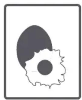 Clayton CL1006T15 - Tambour - 7