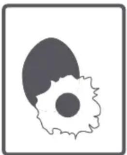 Clayton TLL616 - Tambour - 7