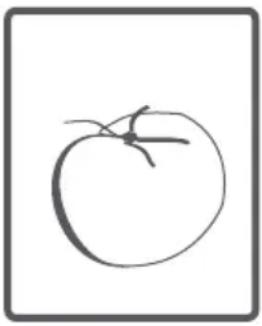 Clayton TLL616 - Tambour - 6