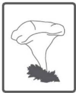 Clayton CL1275ST16 - CONSEILS PRATIQUES - 3