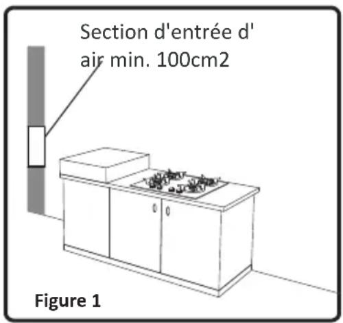 Section d'entrée d' air min. 100cm2 Figure 1