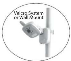 Rimax Baby Kangoo RB203BL - Important Notes - 4