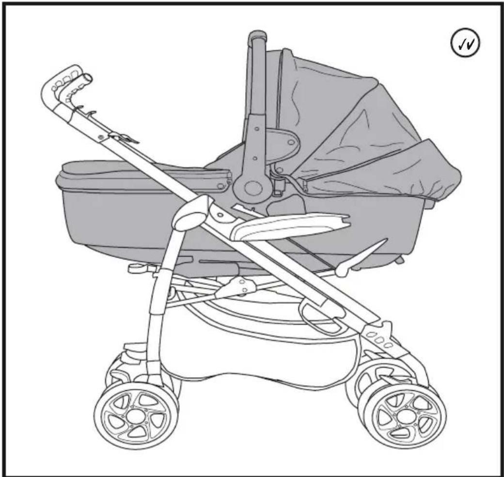 Plebani D1 Trio - 23