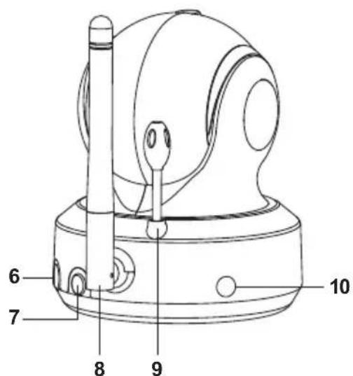 Basbau BB204 - 2