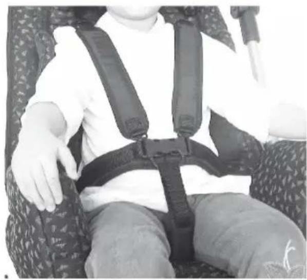 Life & Mobility Novus - SO IST DER GURT KORREKT ANGELEGT. - 2