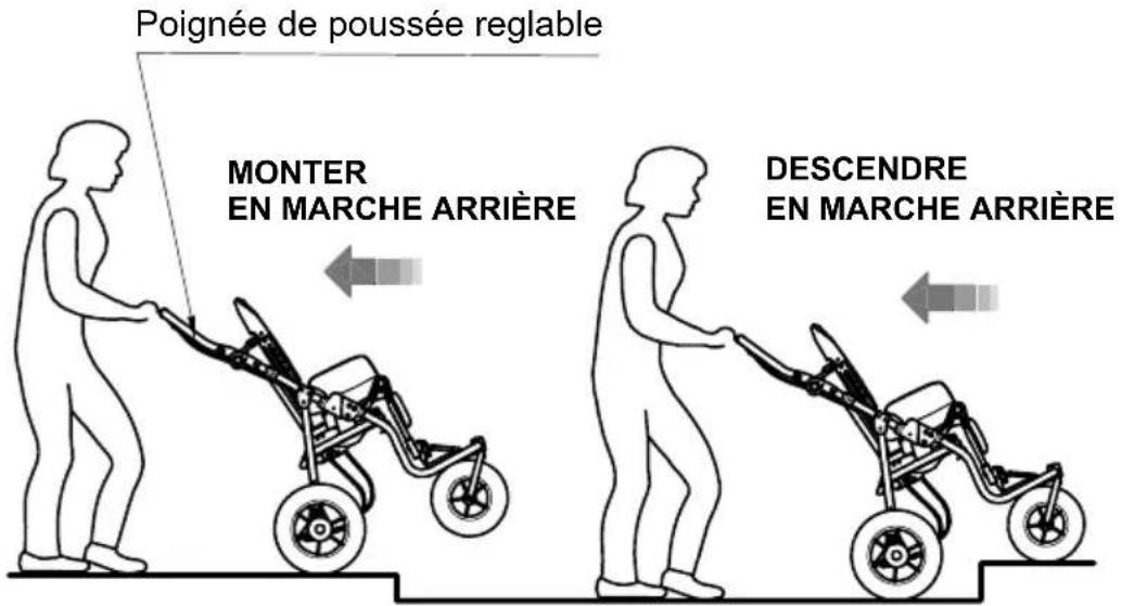Life & Mobility NewBug - ATTENTION! - 1