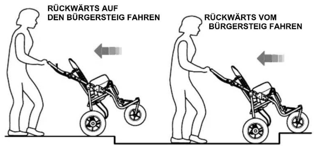 Life & Mobility NewBug - MIT DEM Fahrgestell 901 - 1