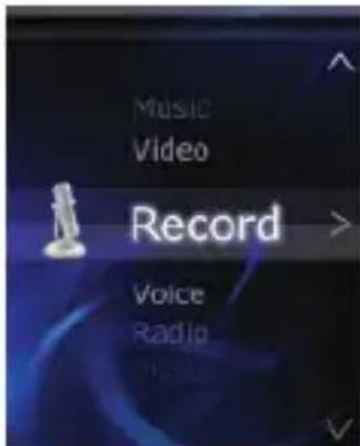 Zipy Leopard - Record - 1