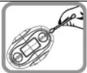Zipy Go Rafting - MP3 - 1