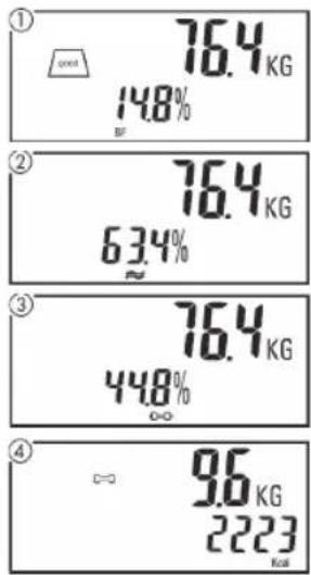 MIO STAR 7179.068 - Importante: - 1