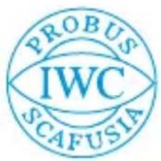 IWC Pilot Mark XVII 3265 - 1