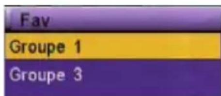 VISIONIC VNT 200 - Sélection de la liste favorite (FAV) - 1