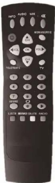 VISIONIC VNA 3401 - Mise à Jour Automatique des Nouvelles Chaînes - 6