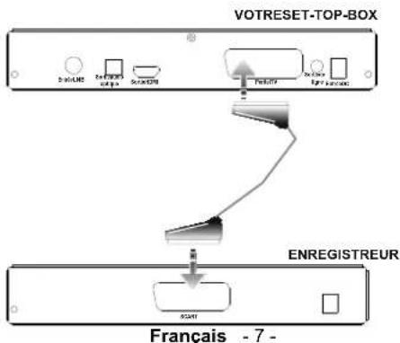 Clayton CLS310B - Branchement d'un boîtier décodeur à un téléviseur - 4