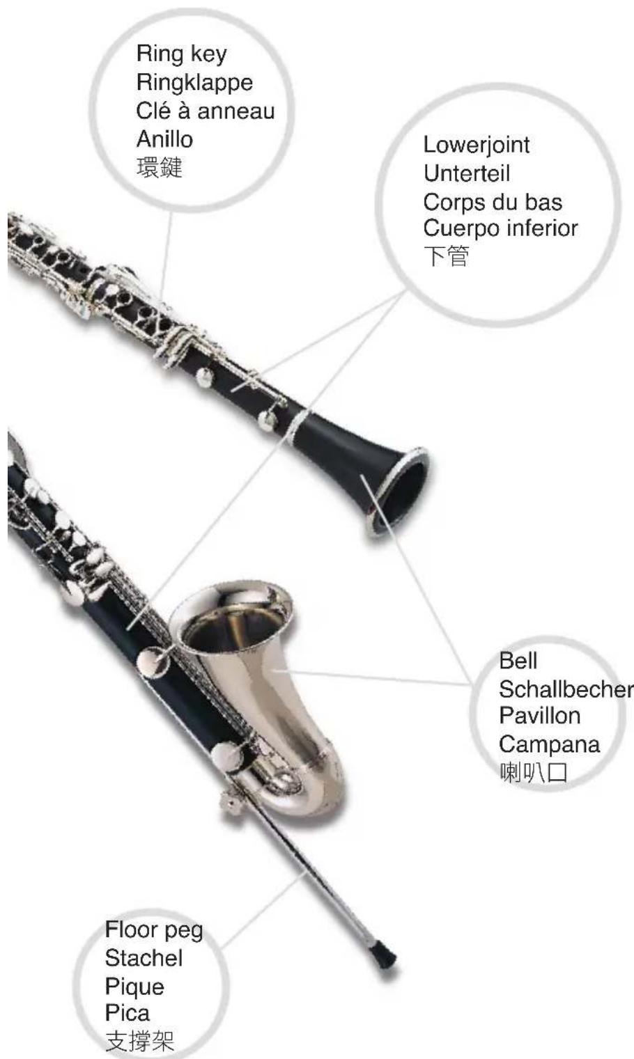 Jupiter JCL705SQ - Clarinet's Nomenclature - 2
