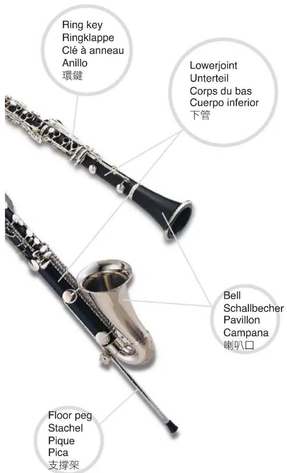 Jupiter JCL1100DS - Clarinet's Nomenclature - 2