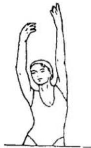 MPF Black Beat - Stretching exercises for your arms - 1