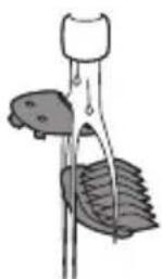 PHILIPS Multigroom MG3712 - After every use: cleaning under the tap - 1