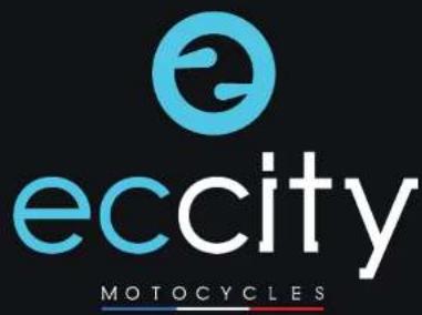 Eccity Artelec 670 - CARNET D'ENTRETIEN - 10