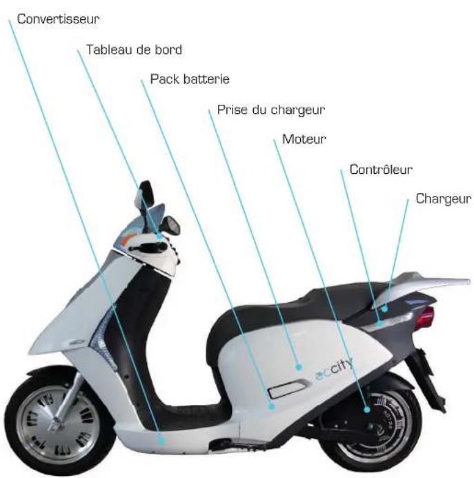 Eccity Artelec 670 - DES ORANES DE COMMANDE - 1