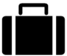 POLTI Sani System Check - OPTIONAL - 3