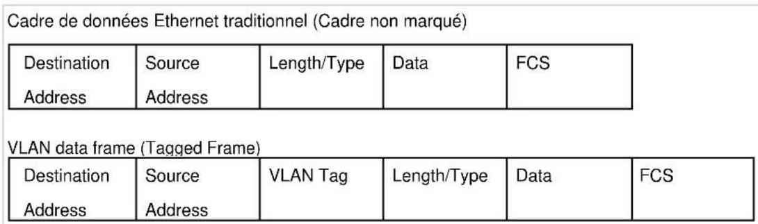 TP-LINK TLSG1016DE - 802.1Q VLAN - 1