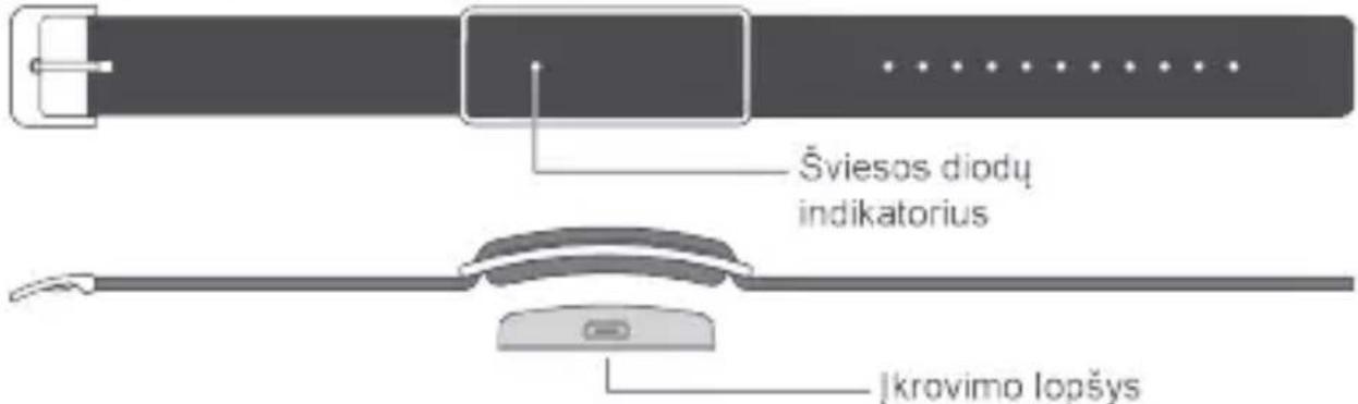 HUAWEI Color Band A1 - Trumpai apie išmaniają apyrankę - 1