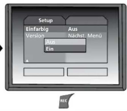 Laserliner VideoFlex G2 - f. Farbmodus Display - 3
