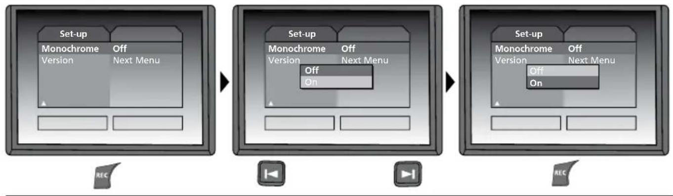 Laserliner VideoFlex G2 - f. Display colour mode - 1