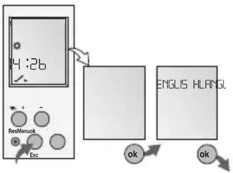Gewiss GW96846 - INITIAL START-UP - SELECTION OF MENU LANGUAGE - 1