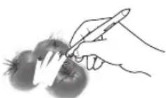 WACOM PL 900 - GRUNDFUNKTIONEN DES STIFTES - 6