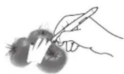WACOM PL 900 - BASIC PEN OPERATIONS - 6