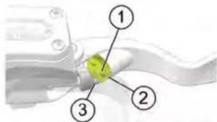 Indian Chieftain (2017) - LLEEVVIEERR DDEE FFRREEIINN AAVVAANNTT - 1