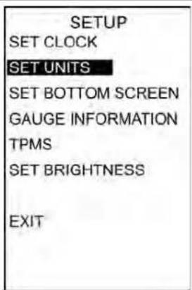 Indian Chieftain (2017) - RREEGGLLAAGGEE DDEESS UUNNIITTESS - 1