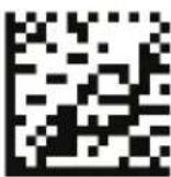 Victory Empulse TT (2016) - V - 2