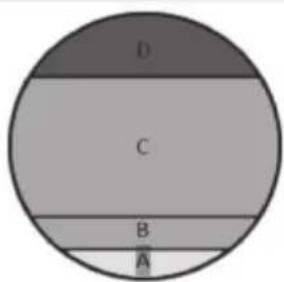 Sherco 300 SER (2017) - REGLAJE DEL CARBURADOR - 2