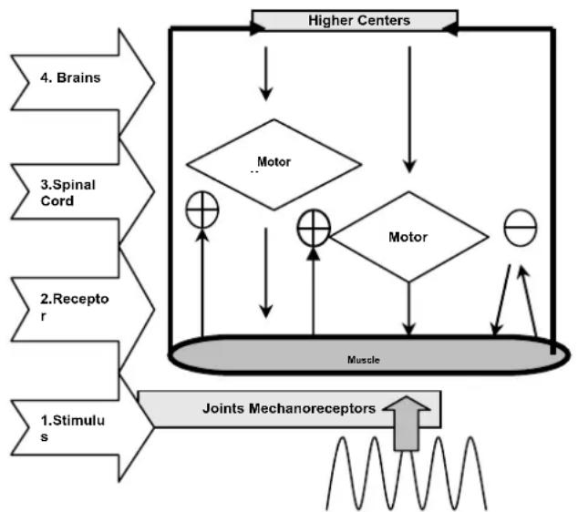 DKN XG10 Pro - Relatieve contra-indications (raadpleeg erst uw arts alvorens een DKN WBV toestel te gebruiken) - 1
