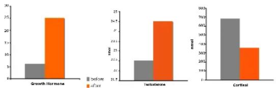 DKN XG10 Pro - Effetti a lungo termine della WBV - 3